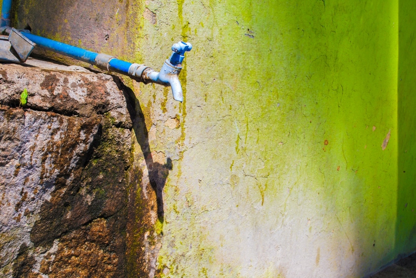 Paula Hanasz - leaking tap in India